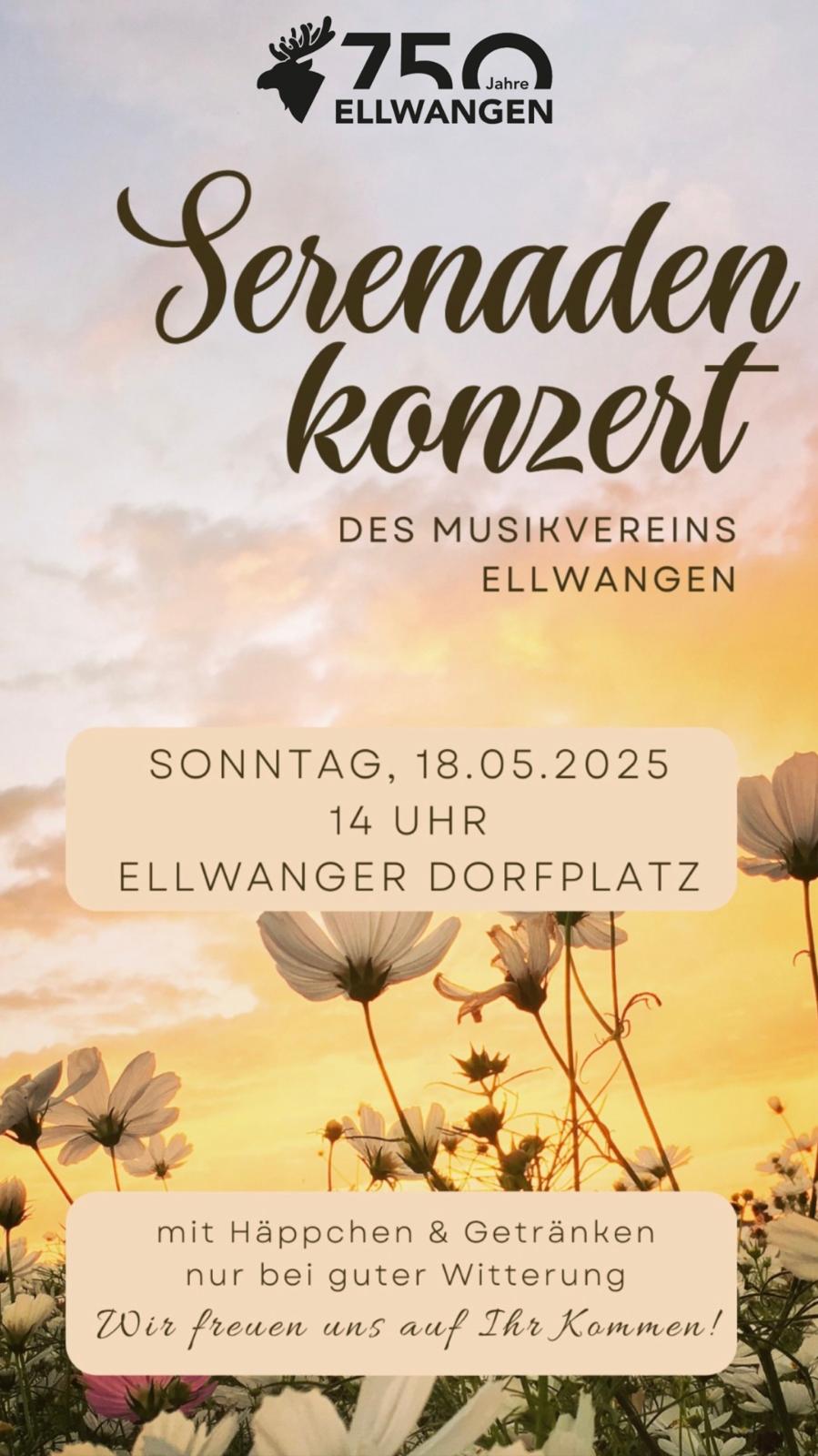Serenadenkonzert